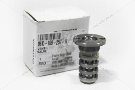 Клапан масляный изменения фаз газораспределения VW Jetta, Passat 2.0 (17-) VAG '06L109257H