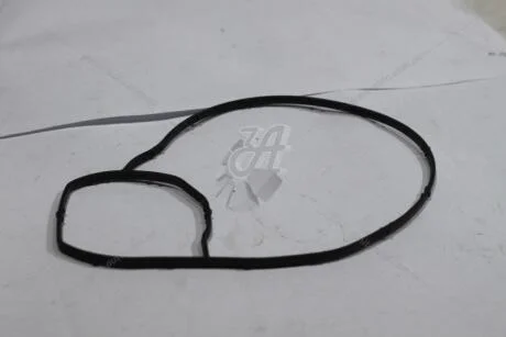 Прокладка корпуса насоса ОЖ VW Passat B8 1,8i 2,0i (06L121043B) VAG '06L121043B