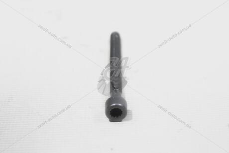 Болт M6X55 кріплення насос-форсунки AUDI/VW VAG 070103385A
