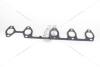 Прокладка випускного колектора VW T5 2.5D VAG 070253039D (фото 12)