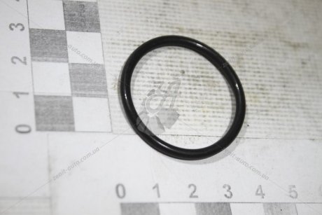 Кольцо уплотнительное VAG 0C8325443 (фото 1)