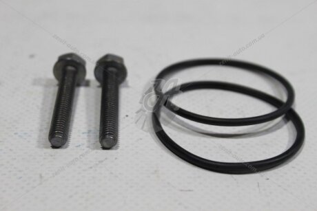 Комплект ущільнень насоса повного приводу VW Passat B8 Tiguan I, Skoda Superb III Kodiaq VAG '0CQ598305