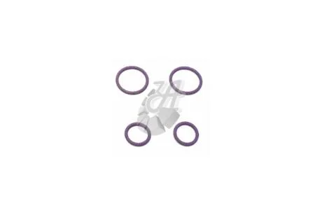 Кольцо уплотнительное (к-кт) системы кондиционера Audi, VW, Skoda, Seat VAG 8K0820261