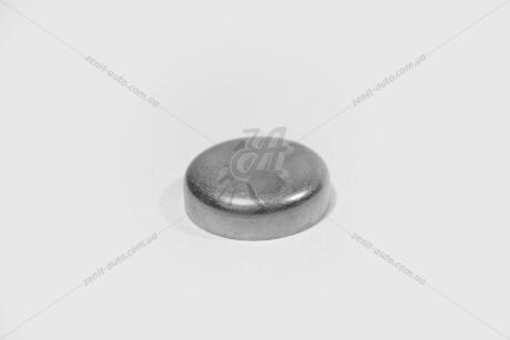 Заглушка ГБЦ VAG 'N0119085