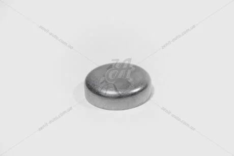 Заглушка ГБЦ (N0119085) VAG 'N0119085