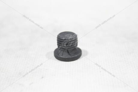 Пробка маслосливная VW/Audi/Skoda/Seat VAG N0160276