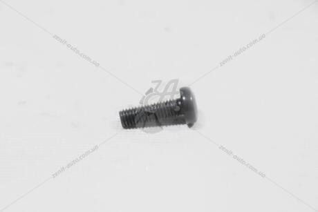 Болт натягувача ланцюга ГРМ Audi Q7 (16-) 3.0 TFSI VAG N10124304