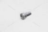 Болт М6Х20 внутр. TORX AUDI/VW VAG N10124306 (фото 10)
