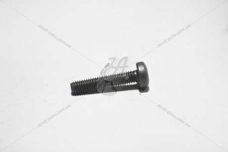 Винт М6*30 внутр. TORX VAG 'N10156205