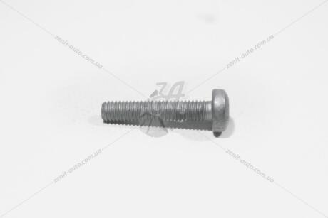 Болт М6Х30 внутр. TORX AUDI/VW VAG N10156206