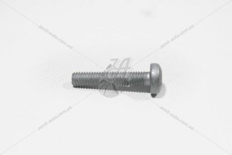 Болт М6Х30 внутр. TORX AUDI/VW VAG N10156206