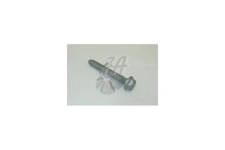 Болт кріплення переднього редуктора Audi, VW, Skoda, Seat VAG N10211202