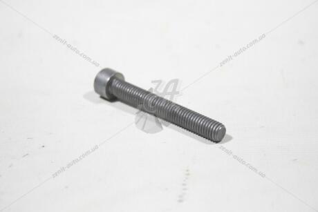 Болт кріплення форсунки M8X58 VAG N10581102