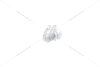 Болт ДВЗ Audi A4 A6 (16-) VAG 'N10619201 (фото 4)
