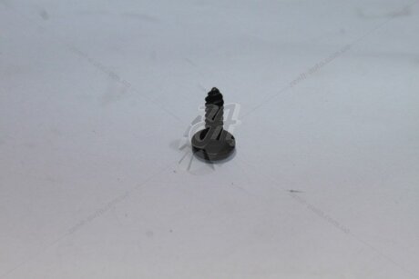 Винт-саморез внутренней обшивки салона VAG 'N10679501