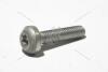 Болт маслонасоса M8*35 внутр TORX VAG 'N10736001 (фото 12)