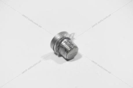 Пробка резьбовая с уплотнительным кольцом М10*1*10 (N90414203) VAG 'N90414203