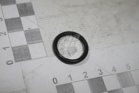 Ущільнювальне кільце системи ОР VW/Audi/Skoda/Seat VAG N90890501