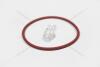 Прокладка клапана EGR VW T5, Caddy III, Jetta III Passat B6 1.9TDI VAG N90927302 (фото 10)