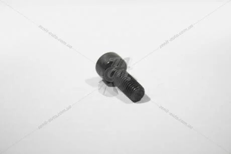 Болт M8X22 внутр. многогранник AUDI/VW VAG N91046101