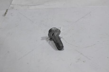 Болт дверної петлі Octavia III (13-) VAG 'N91247701