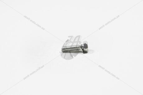 Болт M6X1X21 AUDI/VW VAG WHT000309