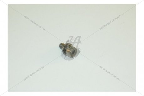 Болт M5X9 кришки паливного фільтра /// VAG WHT001455 (фото 1)