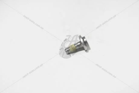 Болт М6*16 масляного фильтра АКПП (WHT003157) VAG 'WHT003157