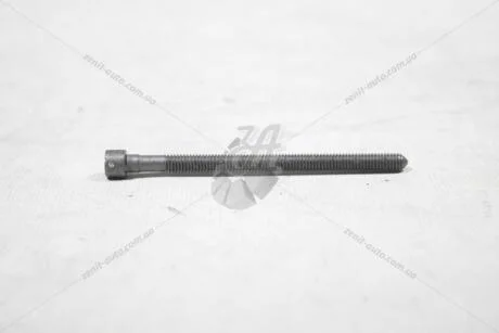Болт M6X88 крепления насос-форсунки AUDI/VW VAG WHT003179