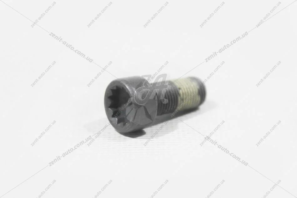 Болт кріплення маховика AUDI/VW VAG WHT009773 (фото 1)