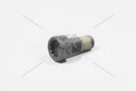 Болт кріплення маховика AUDI/VW VAG WHT009773