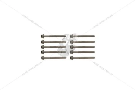Комплект болтов ГБЦ 1,8TSI 2,0TSI 2,0TDI Skoda Octavia II Superb II VIKA Premium '10059311635