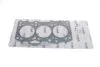 Прокладка головки блока металлическая Skoda Fabia 1,4D (03-08)/VW Polo (99-,01-)/Audi A2 (00-05) vika Vika 11031389901 (фото 1)