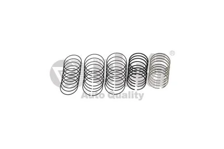 Комплект поршневих кілець 2,4 L/3,0L 81 мм (на 6 поршнів) Audi A4 (01-04),A6 (97-05) vika Vika 11981631901