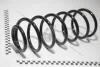 Пружина передняя Skoda Octavia (97-11)/VW Golf (96-03),Passat (92-93) VIKA Vika 44110981101 (фото 1)