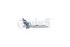 Рейка рулевая KOYO Skoda Fabia (00-08)/VW Polo (02-08)/Seat Ibiza (06-10) Vika 44231677501 (фото 1)