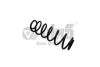 Пружина задняя Skoda Octavia (04-13,14-)/VW Golf (04-),Jetta (06-15),Passat (08-15)/Seat Toledo (05-09) VIKA Vika 45110573901 (фото 1)