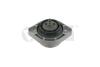 Подушка двигателя BMW X3 E83 (03-11) Vika '49907801 (фото 1)