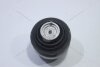 Подушка двигуна MB E Class S210 (96-03) W210 (95-02) Vika '49927501 (фото 3)